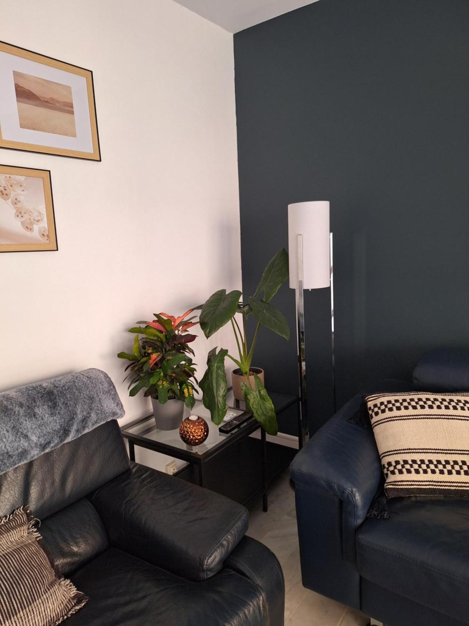 Appartement T3 Plein Centre Saint-Raphaël Eksteriør bilde